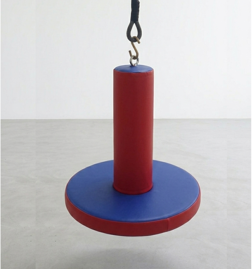 Disc swing